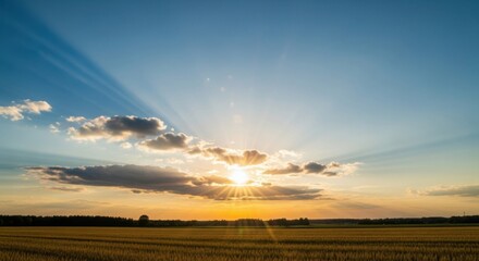 Beautiful Sunrise Over the Field of Golden Wheat Ears