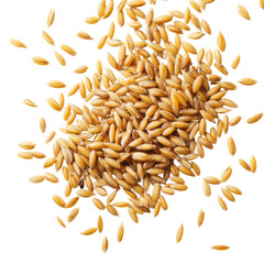 Close up shot of a pile of golden brown oat grains scattered on white surface