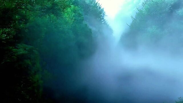 Dreamy Hyperreal Landscape: Glowing Mist in Cinematic Forest Loop