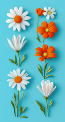 A simple, minimal design featuring a set of orange and white flowers arranged on a light blue background, three-dimensional vector illustrations, with coordinated color blocks,