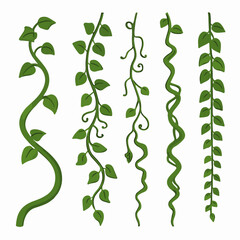 Evergreen climbing plant. Cartoon rainforest liana vines, jungle liana plants, tropical climbing ivy creepers flat vector illustration. Exotic ivy creeper © Pandaman1102