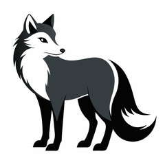 Arctic Fox silhouette on a white background