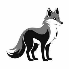 Arctic Fox silhouette on a white background