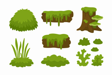 Swamp green moss. Moss plants growing on wood trunks, rainy forest lichen and fungus plants on rotten stumps flat vector illustration set. Cartoon moss collection