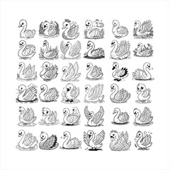 A charming black and white line art illustration of a swan, perfect for children's coloring activities or educational materials.