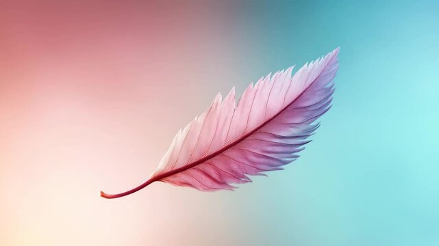 Pastel feather floating in soft wind with pastel feather movement and pastel feather motion in airy gradient background