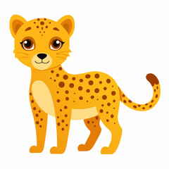 Cheetah on white background 