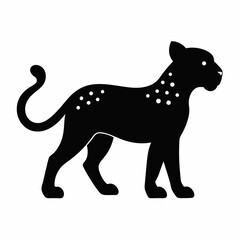 Cheetah on white background 
