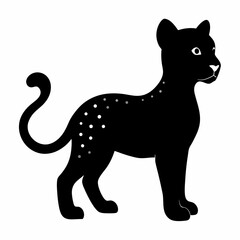Cheetah on white background 