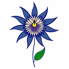 Obraz premium Blue crown Passion flower