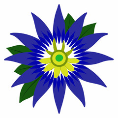Blue crown Passion flower