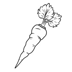 Line illustration carrot with leaves