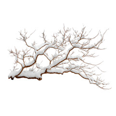 Snow covered branches winter tree nature scene