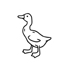 cute farm animal duck outline art