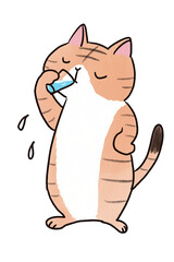 水を飲む猫