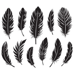 Elegant Feather Vector Designs for Crafts, Scrapbooking, and Artistic Projects