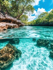 Obraz premium Crystal-Clear Underwater Paradise Tropical Lagoon Scene