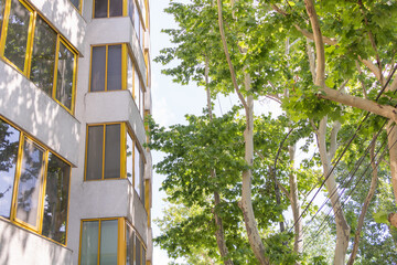 An apartment building in the city, with trees and greenery outside, showcasing its modern architecture. The windows have yellow frames around them