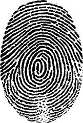 Fingerprint in Black and White