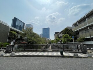 神田川4月：神田川の橋と葉桜 2025/4/18