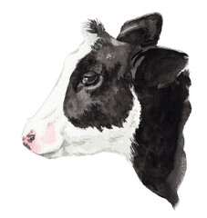 アナログ水彩牛の横顔