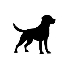 dog icon
