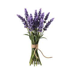 Obraz premium Rustic lavender stems tied with twine, on white background, natural, earthy, calming, perfect for herbal or rustic themes.