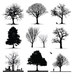 Obraz premium bare tree silhouette set, Black & White silhouette set