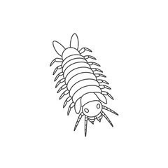 Line art illustration of a pill bug or woodlouse insect
