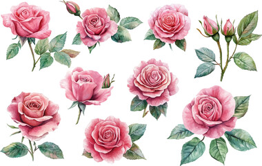 seamless pattern with roses