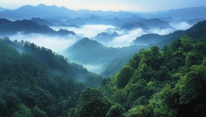 Misty mountain range with lush forests