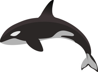 whale vector illustration