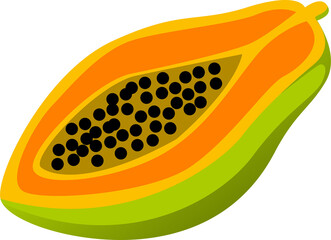 papaya vector illustration