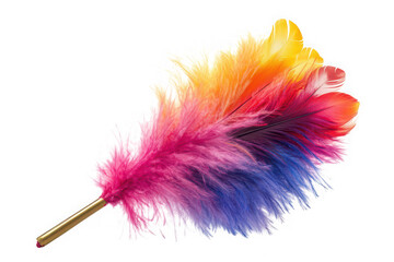 Vibrant feather duster rainbow colors cleaning tool home decor colorful feather isolated on transparent background