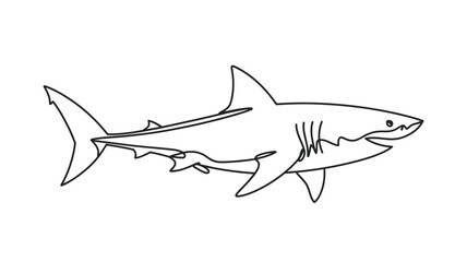 Single Line Drawing Great White Shark Illustration