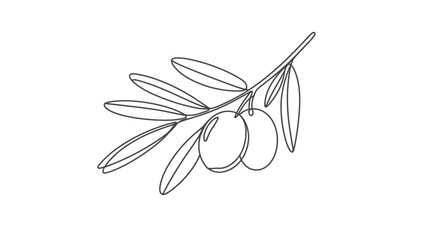 Simple Line Drawing of Olive Branch with Olives