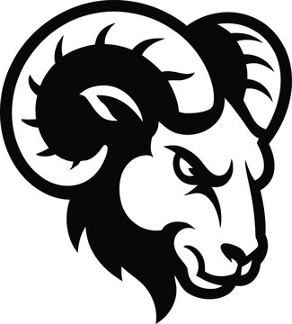 Fierce black and white ram head vector illustration suitable for sports team logos and emblems
