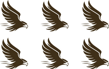 Fototapeta premium Brown eagle flying in motion with speed lines on a white background for logos and designs