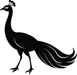 Peacock Vector Silhouette Art Icon Illustration
