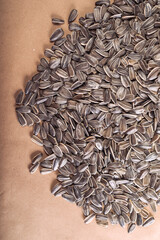  Healthy Snack – Grey Sunflower Seeds Isolated - Grey Shell Sunflower Seeds for Snack or Planting