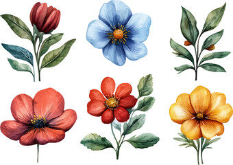 collection of flowers