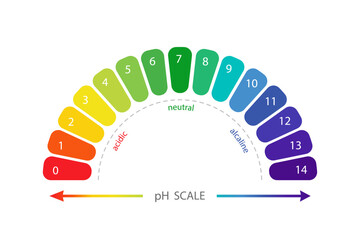 PH Scale diagram. Gauge for acid and alkaline balance. Chemical analysis or test. Vector illustration isolated on white background.
