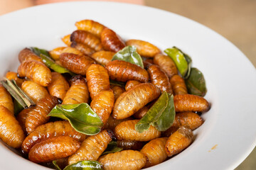 Fried Silkworm Pupae with Herbs
