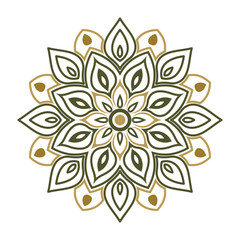 Floral Pattern in Olive and Gold Colors