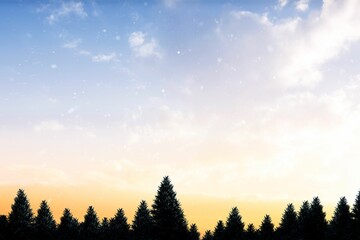 Fototapeta premium Snow falling on fir tree forest