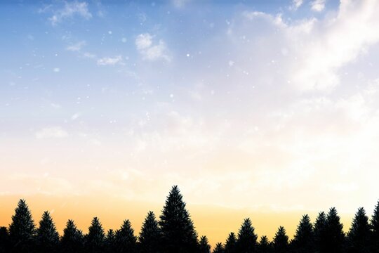 Fototapeta Snow falling on fir tree forest