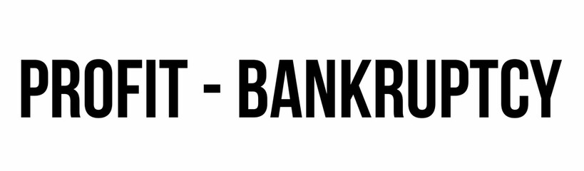 Displaying bold black text reading PROFIT - BANKRUPTCY across center on plain white background