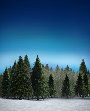 Fototapeta Fir tree forest in snowy landscape