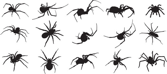 Vector Silhouette Collection: Clean and Bold Designs Spider, Black Widow, Red back female, views isolated on white