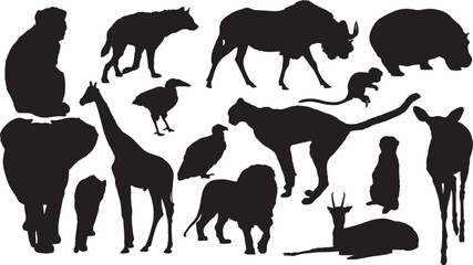 Collage with African mammals and birds